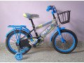 kids-cycle-16-size-small-2