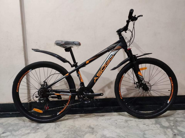 asogo-mountain-bike-big-4