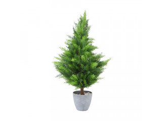 PINERY PINE TREE IN POT 50X50X91CM GN/GY