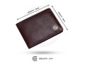 hammonds-flycatcher-rfid-protected-brown-genuine-leather-wallet-for-men-590-br-small-4