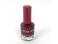 radiant-coats-nail-polish-shadecolor-22-small-0