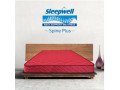 spine-plus-sleepwell-mattress-with-6-thick-and-size7860-small-0