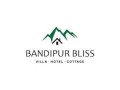 night-stay-at-bandipur-bliss-villa-small-5