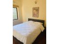 luxurious-apartment-for-rent-near-boudha-stupa-small-5