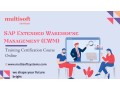 sap-extended-warehouse-management-ewm-training-certification-course-small-0