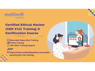 Certified Ethical Hacker (CEH V12) Training & Certification Course