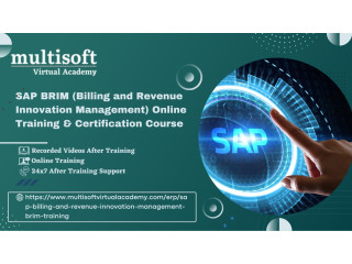 SAP BRIM (Billing and Revenue Innovation Management) Online Training & Certification Course