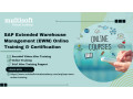 sap-extended-warehouse-management-ewm-online-training-certification-small-0