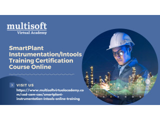 SmartPlant Instrumentation/Intools Training Certification Course Online
