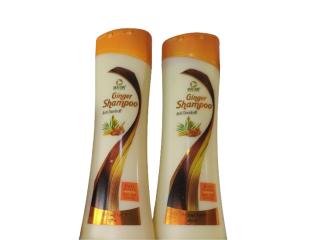 GINGER SHAMPOO (Combo of 2 pieces)